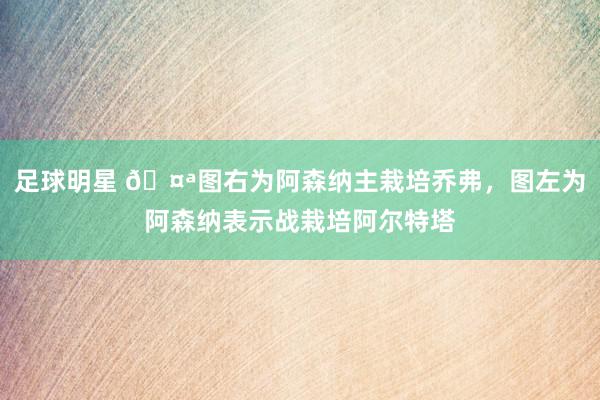 足球明星 🤪图右为阿森纳主栽培乔弗，图左为阿森纳表示战栽培阿尔特塔