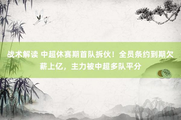 战术解读 中超休赛期首队拆伙！全员条约到期欠薪上亿，主力被中超多队平分